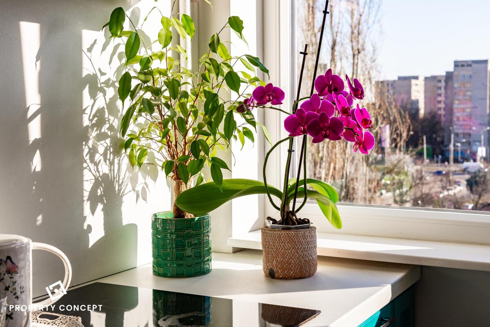 Blissful Retreat Apartment 布加勒斯特 外观 照片