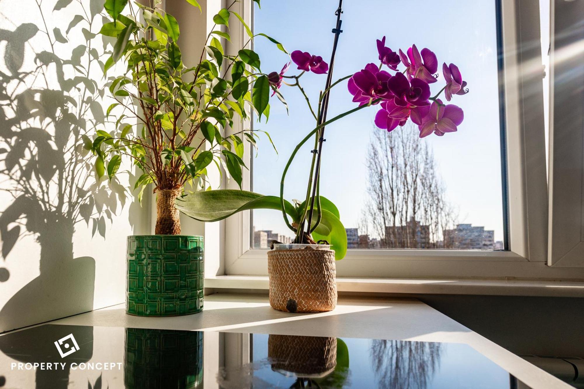 Blissful Retreat Apartment 布加勒斯特 外观 照片