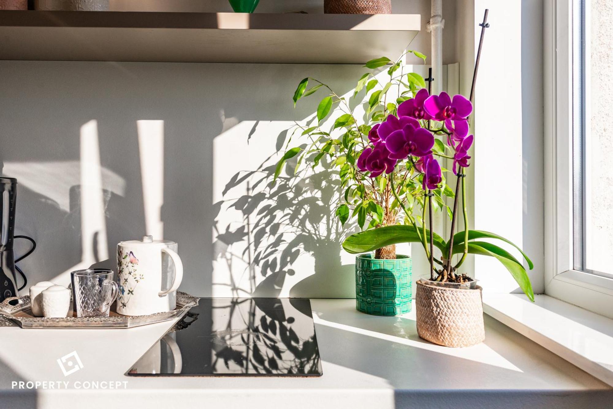 Blissful Retreat Apartment 布加勒斯特 外观 照片